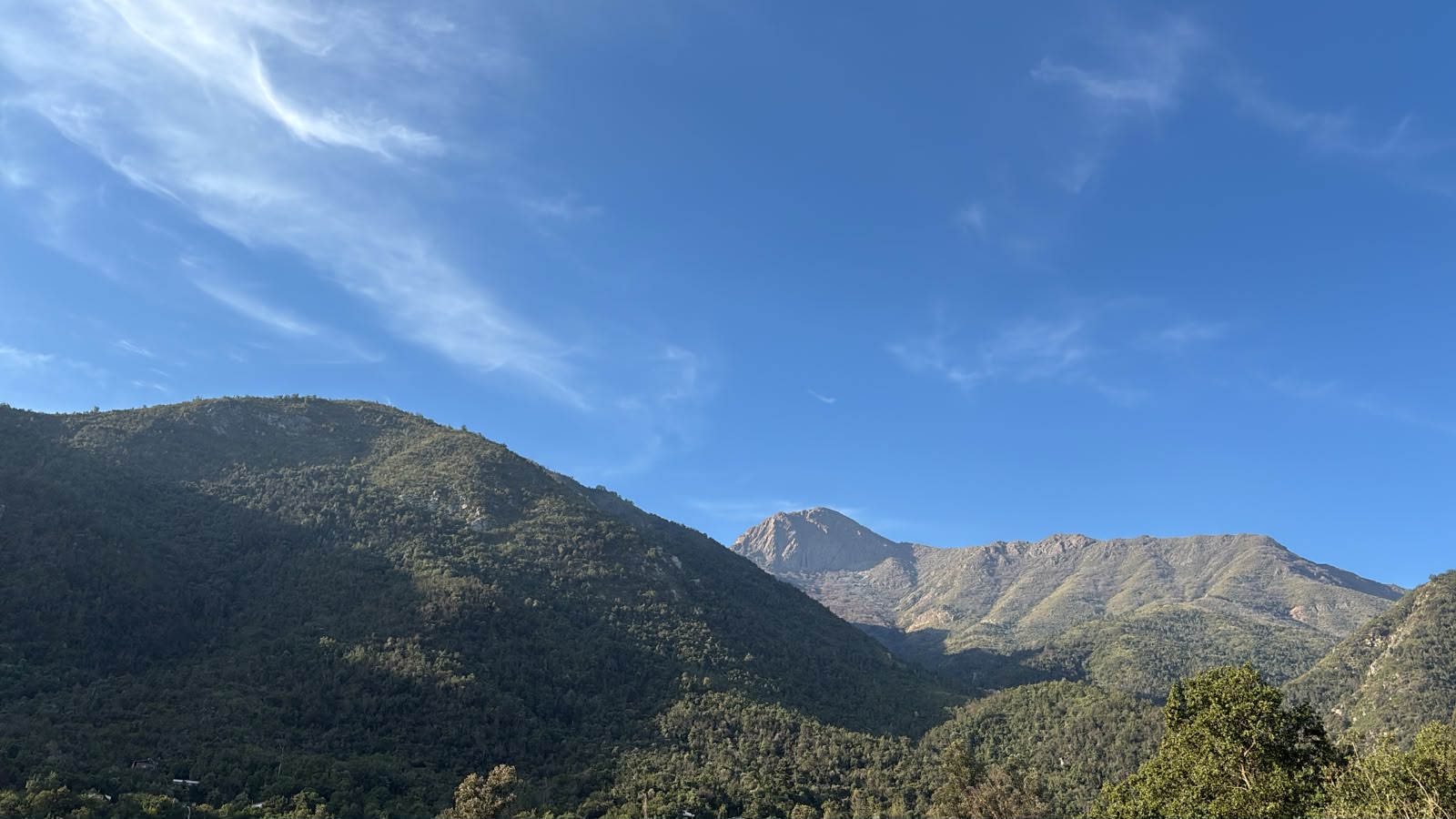 Olmué